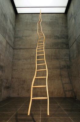ladder3